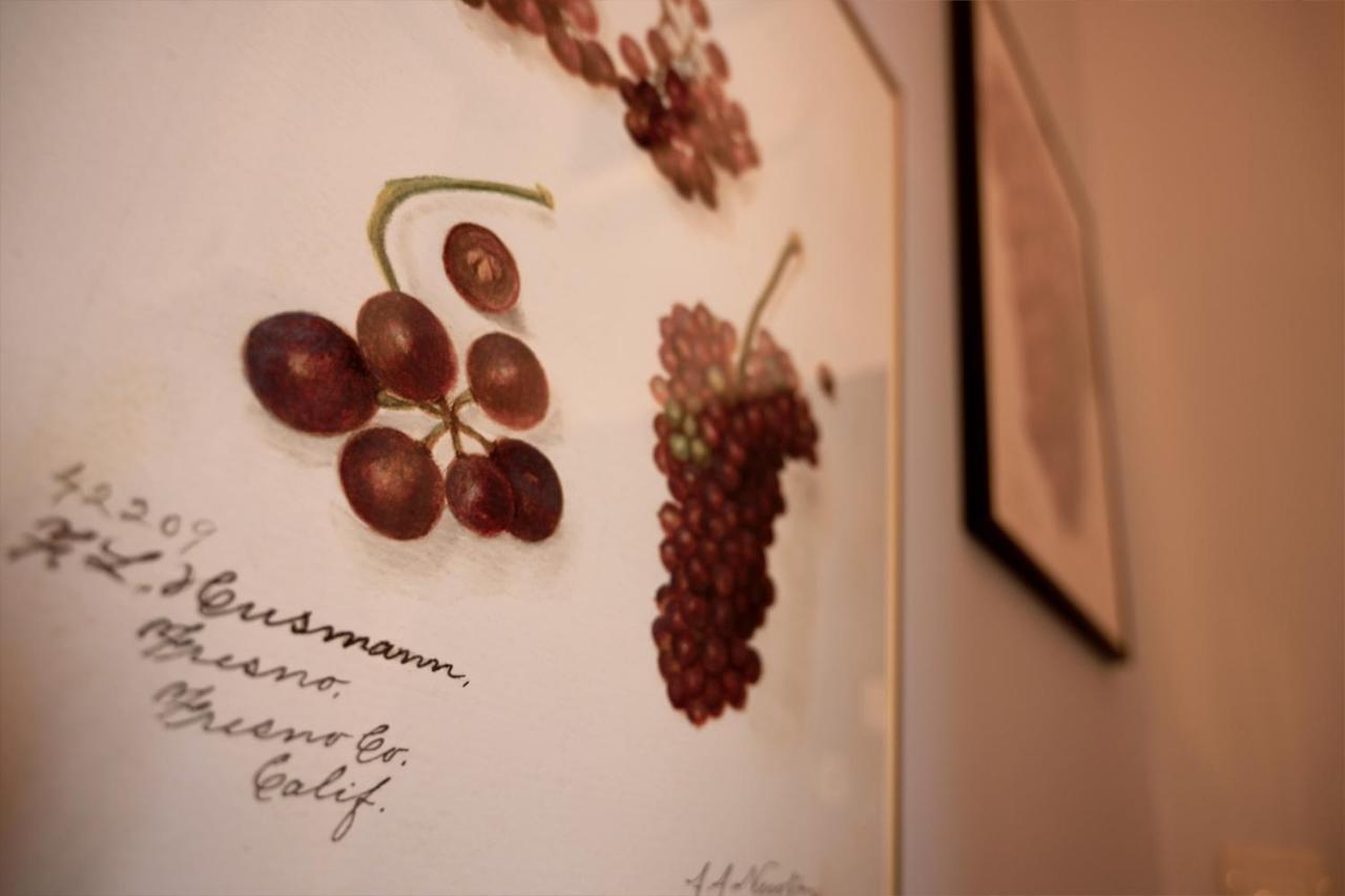 Riesling Zielona Gora (Lubuskie)